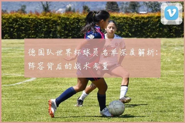 德国队世界杯球员名单深度解析：阵容背后的战术考量
