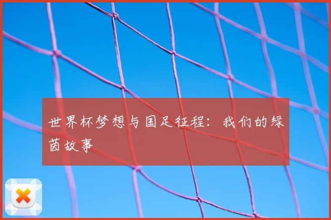 世界杯梦想与国足征程：我们的绿茵故事