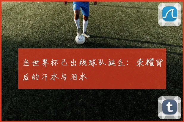 当世界杯已出线球队诞生:荣耀背后的汗水与泪水