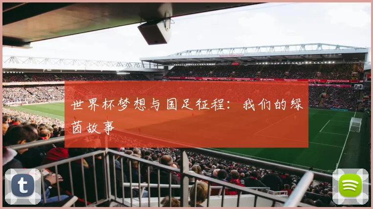 世界杯梦想与国足征程：我们的绿茵故事